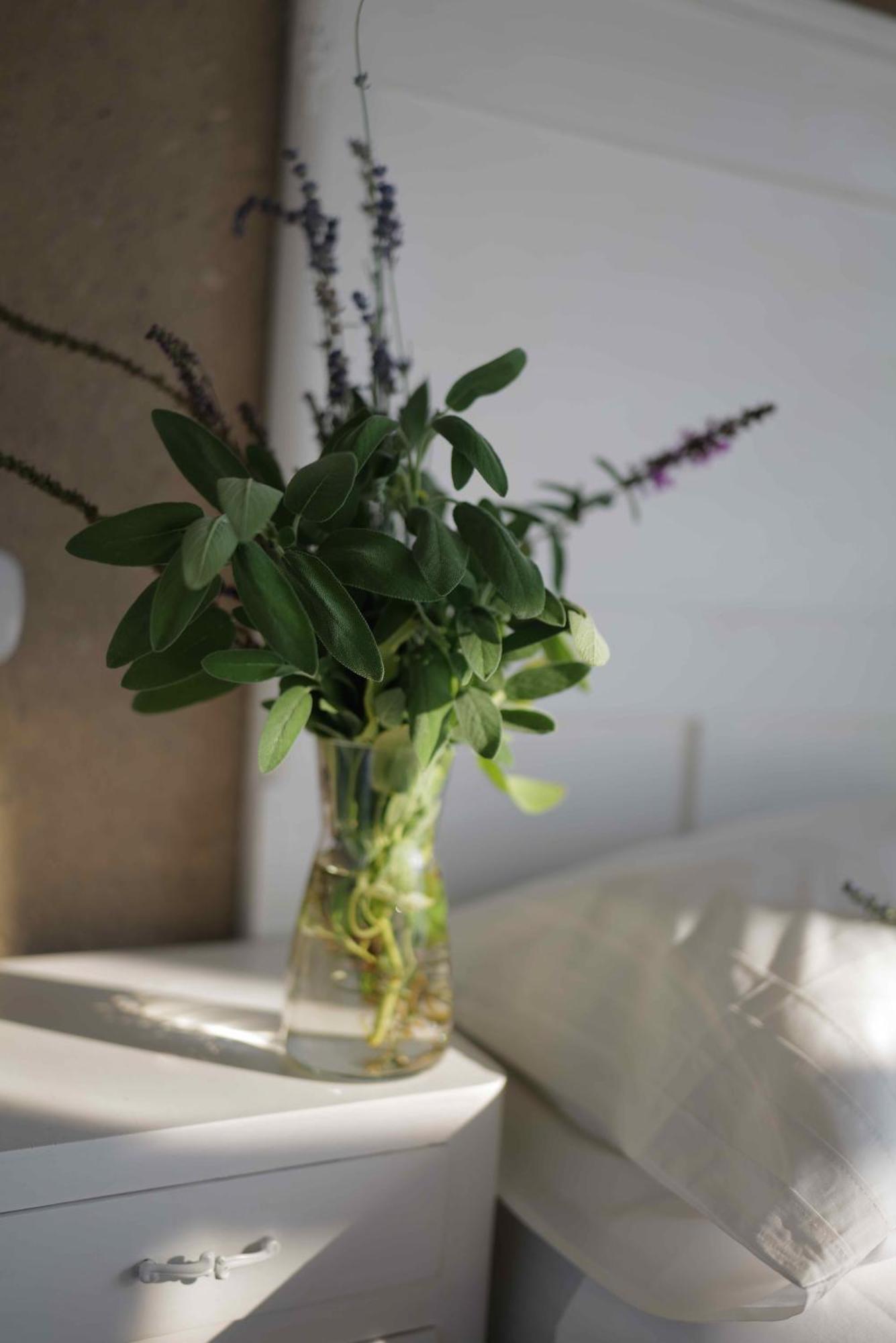 B&B Cascina La Cinciallegra Oggiono Ngoại thất bức ảnh
