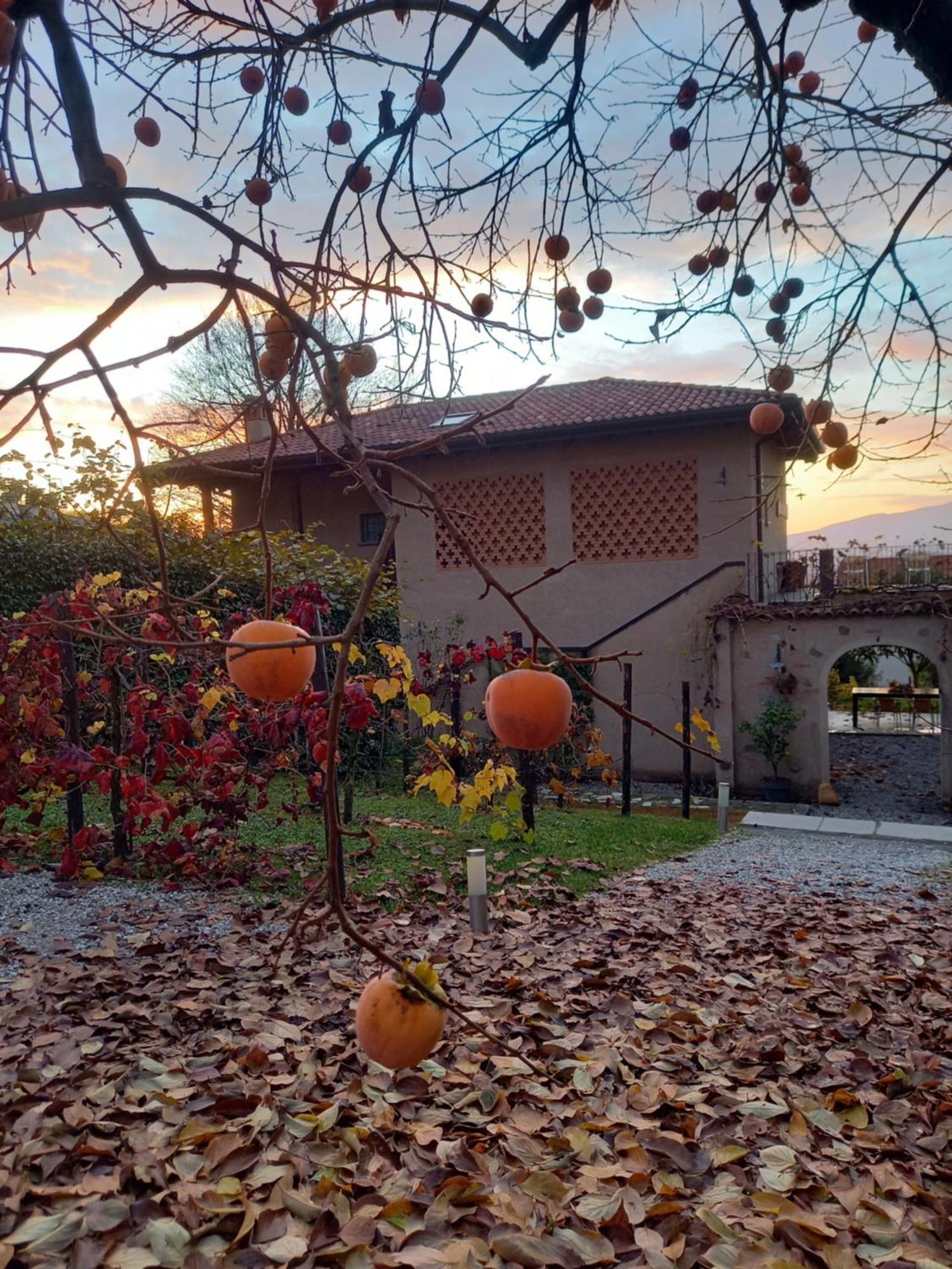 B&B Cascina La Cinciallegra Oggiono Ngoại thất bức ảnh